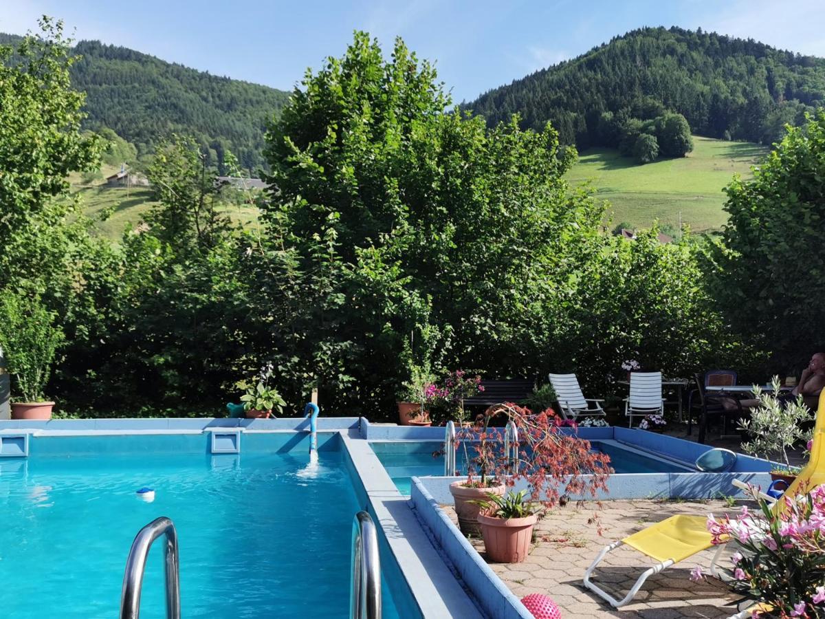 Ferienwohnung Vogelsang Im Schwarzwald Münstertal Buitenkant foto
