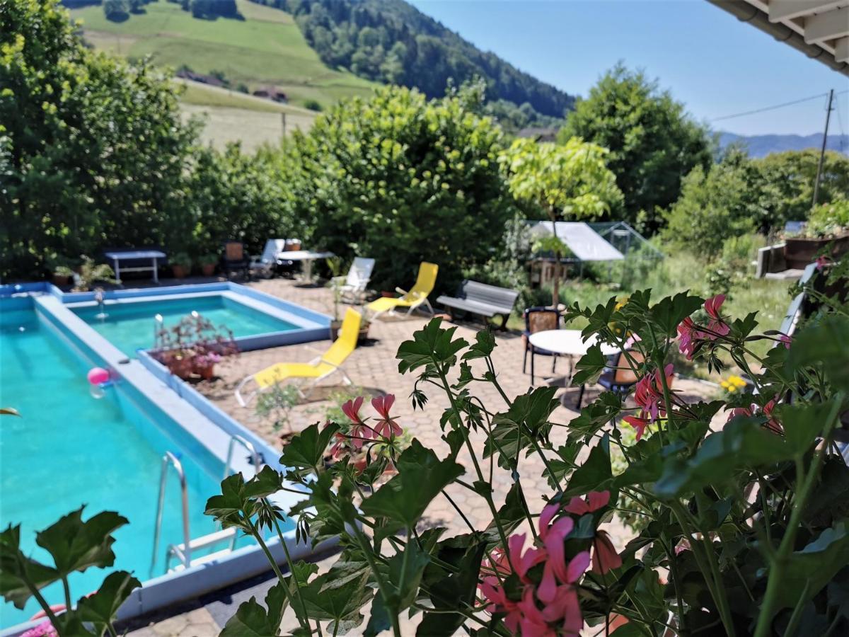 Ferienwohnung Vogelsang Im Schwarzwald Münstertal Buitenkant foto