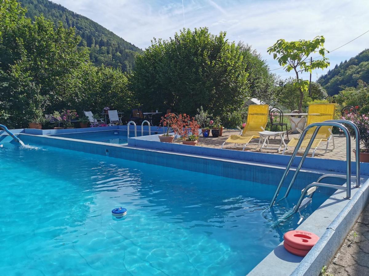 Ferienwohnung Vogelsang Im Schwarzwald Münstertal Buitenkant foto