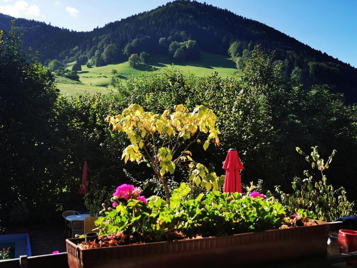 Ferienwohnung Vogelsang Im Schwarzwald Münstertal Buitenkant foto